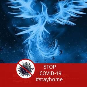 Meet your Posher, Carol